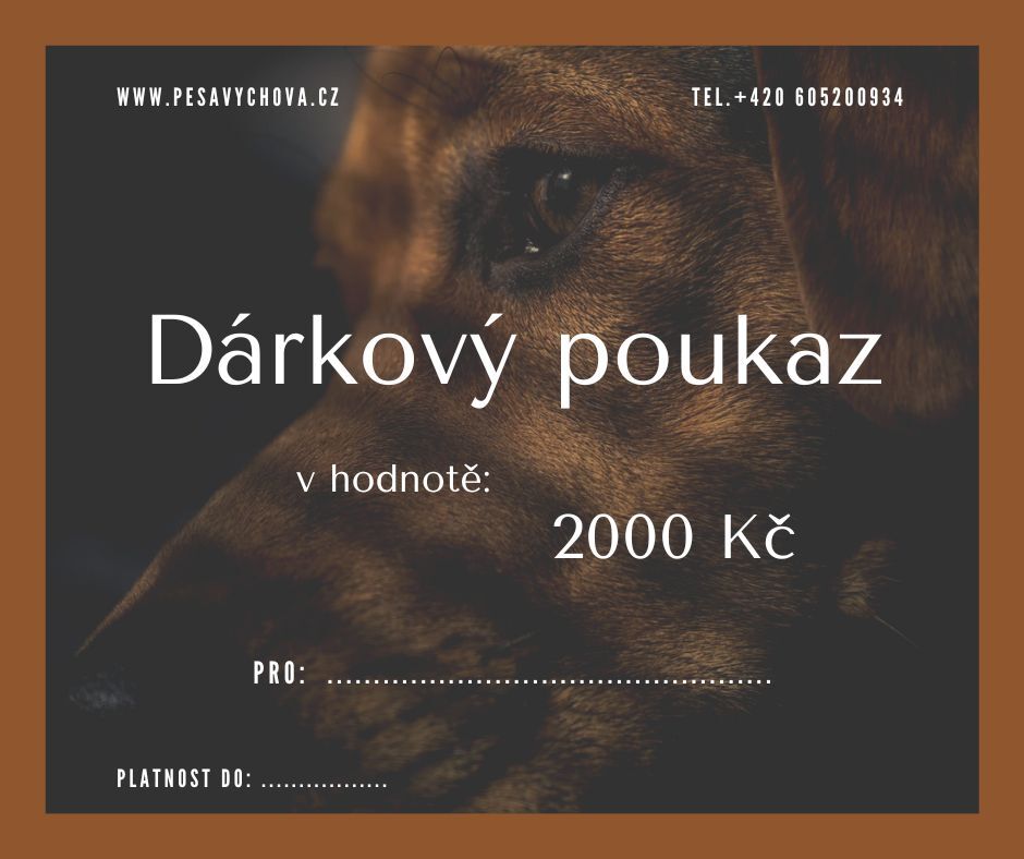 Darkovy poukaz 2000.jpg